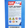 FIAMM High Performance 12V 210Ah (12FLB700P)