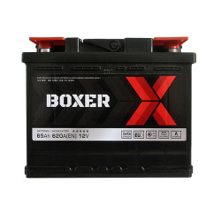 Автомобільний акумулятор BOXER (565 80) (L2) 65Ah 620A R+ (правий +)